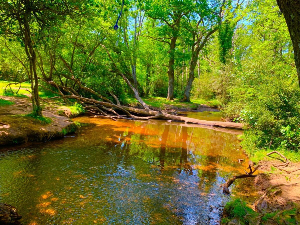 Forest Haven Sway Kültér fotó