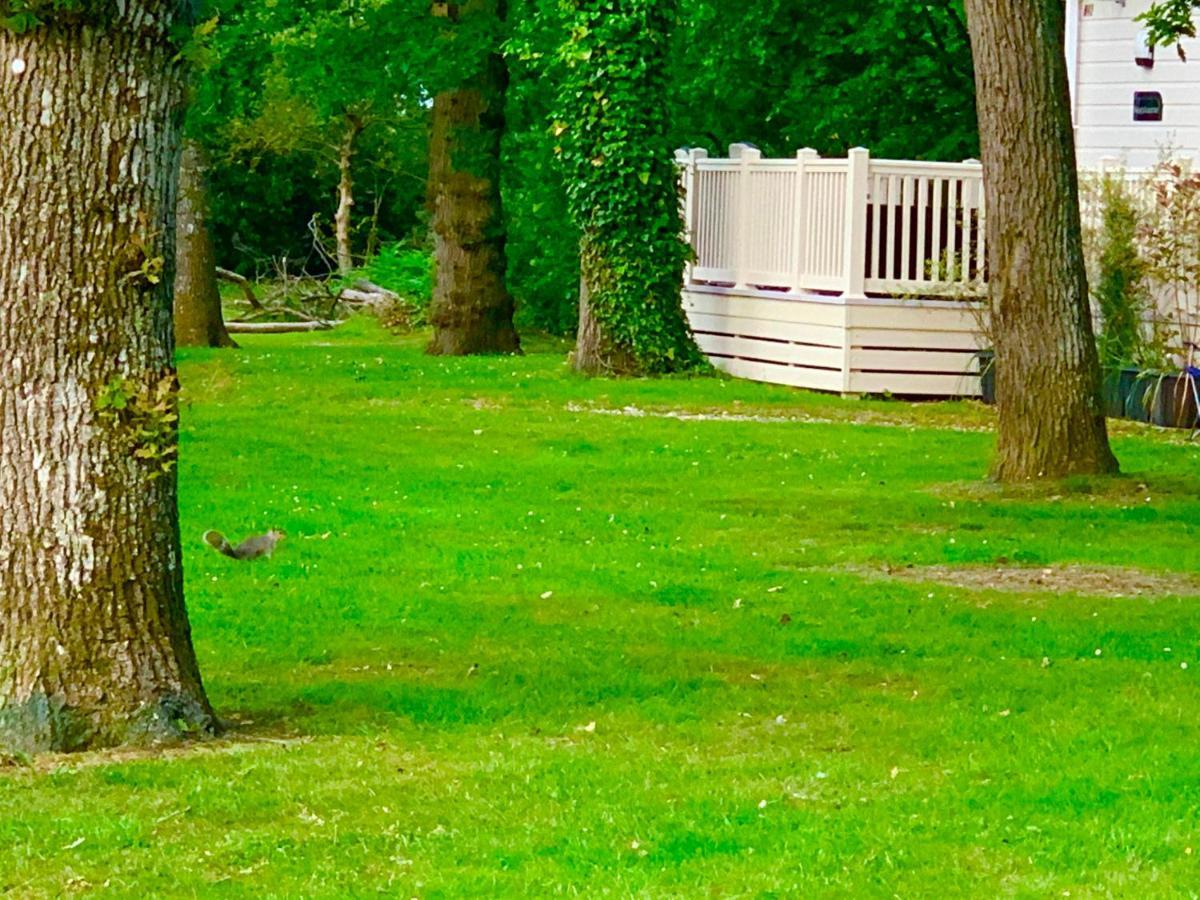 Forest Haven Sway Kültér fotó
