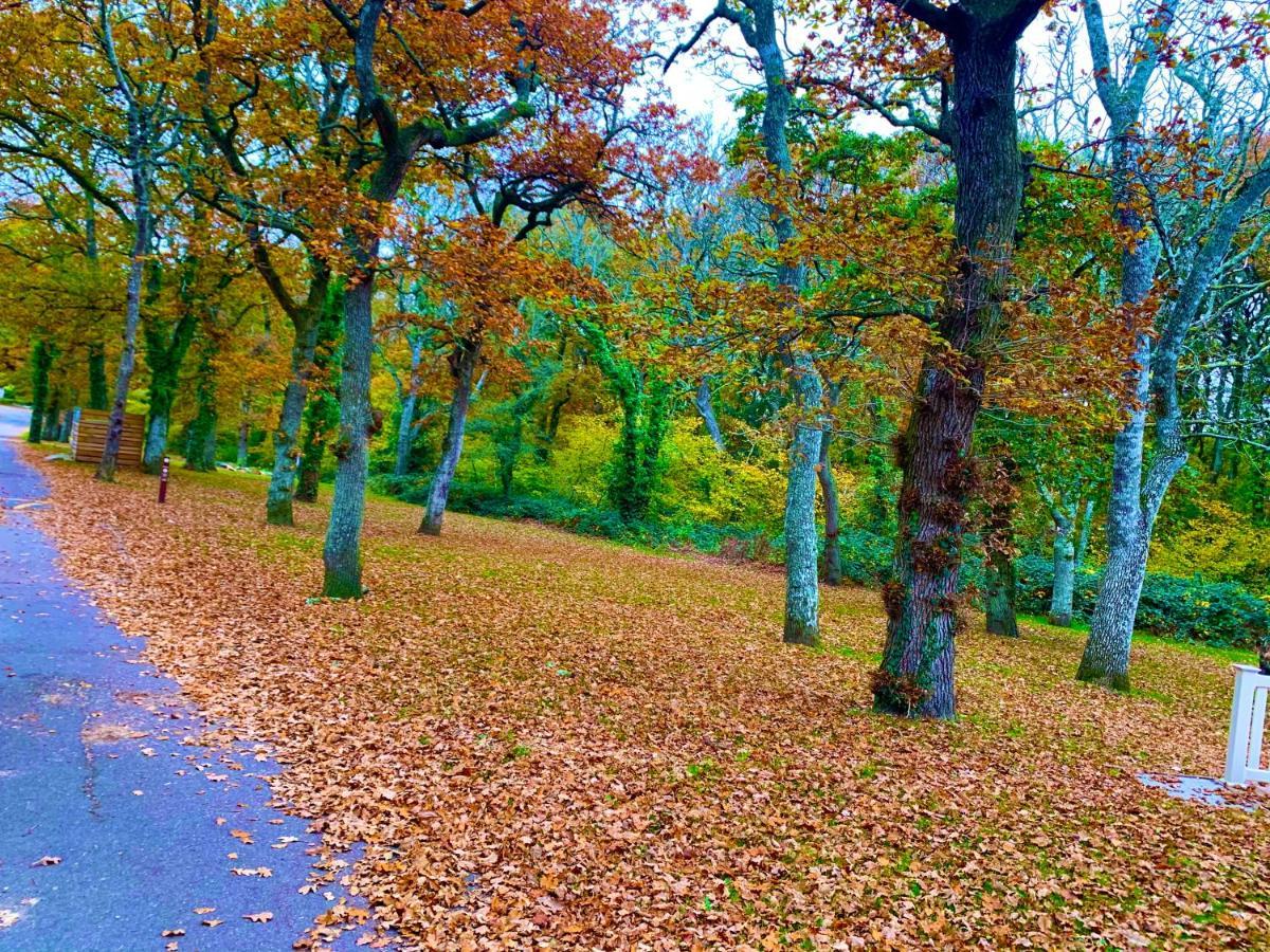 Forest Haven Sway Kültér fotó