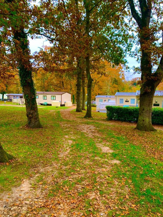 Forest Haven Sway Kültér fotó