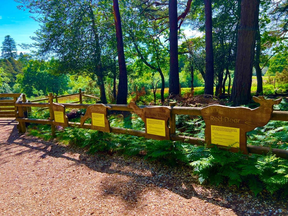 Forest Haven Sway Kültér fotó